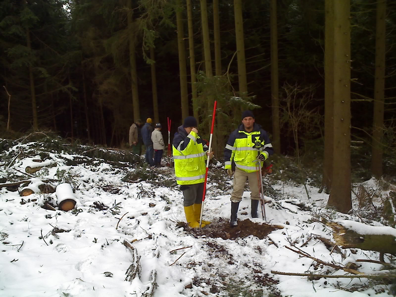 AD-Messung im Winterwald AD-Messung im Winterwald